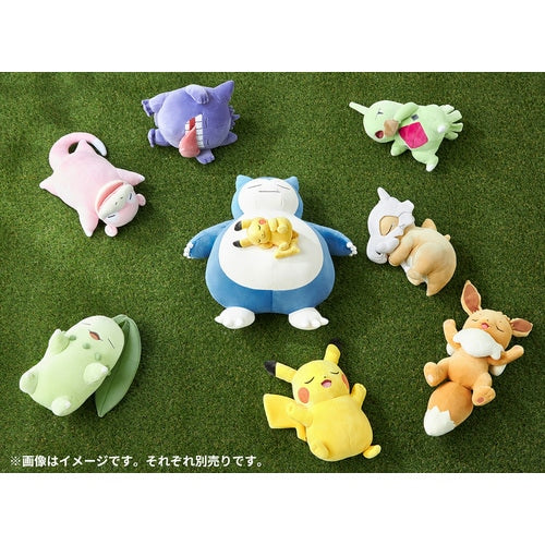 Official Pokemon Center Japan Sleep Goodnight Larvitar Sleeping Plush