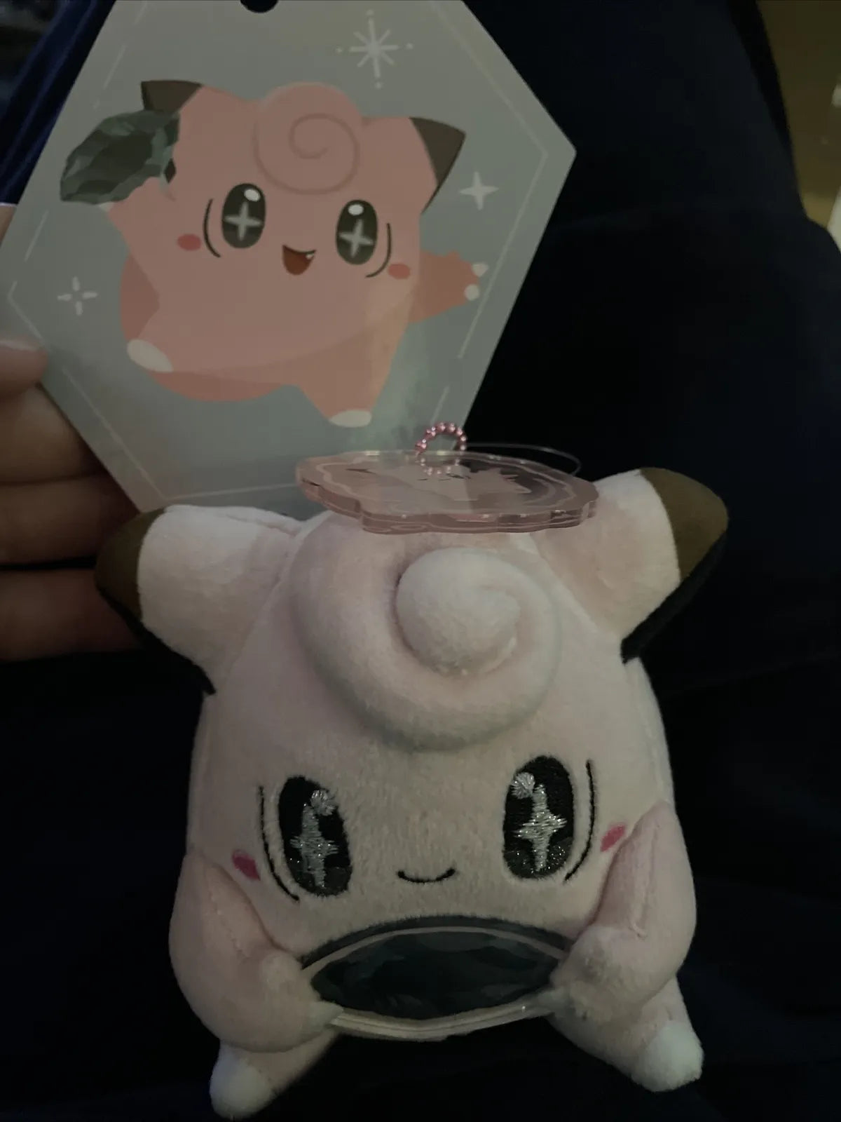 Pokemon Center Japan Clefairy Holding Stone Evolve Clefable Plush