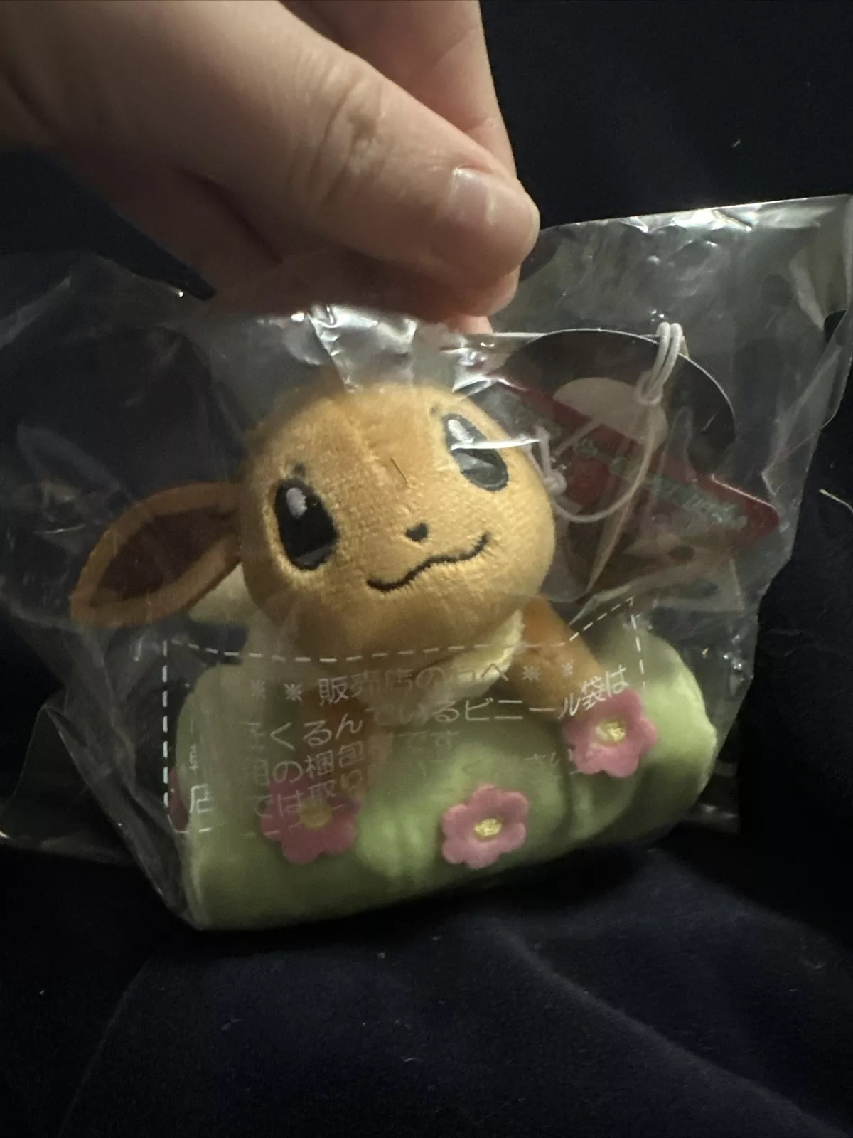 Pokemon Center Japan Eevee Plush And Eco Bag Keychain