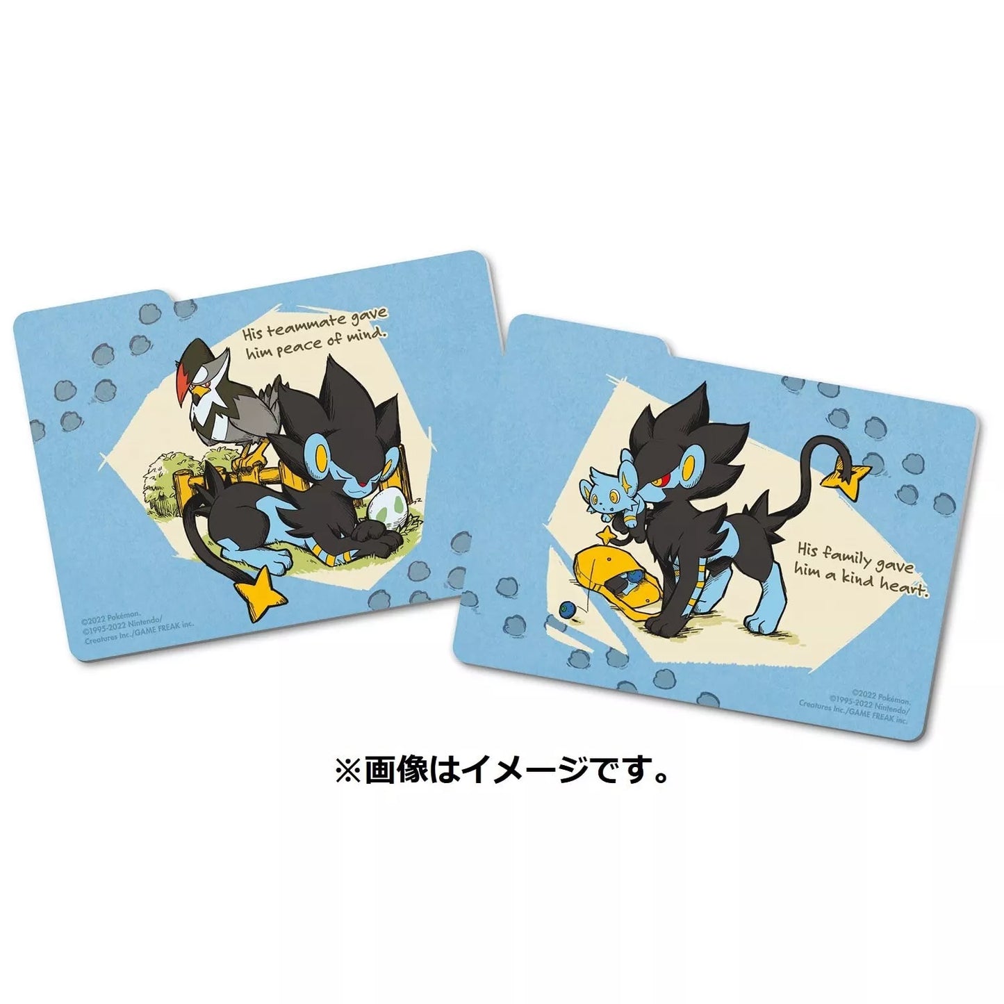 Pokemon Center Japan My Rentorar’s Story Luxray Double Deck Box