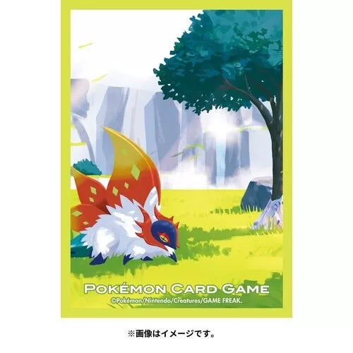 Pokemon Center Japan Set of 64 Card Sleeves Slither Wing